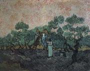 Vincent Van Gogh the olive pickers,saint remy,1889 Germany oil painting artist